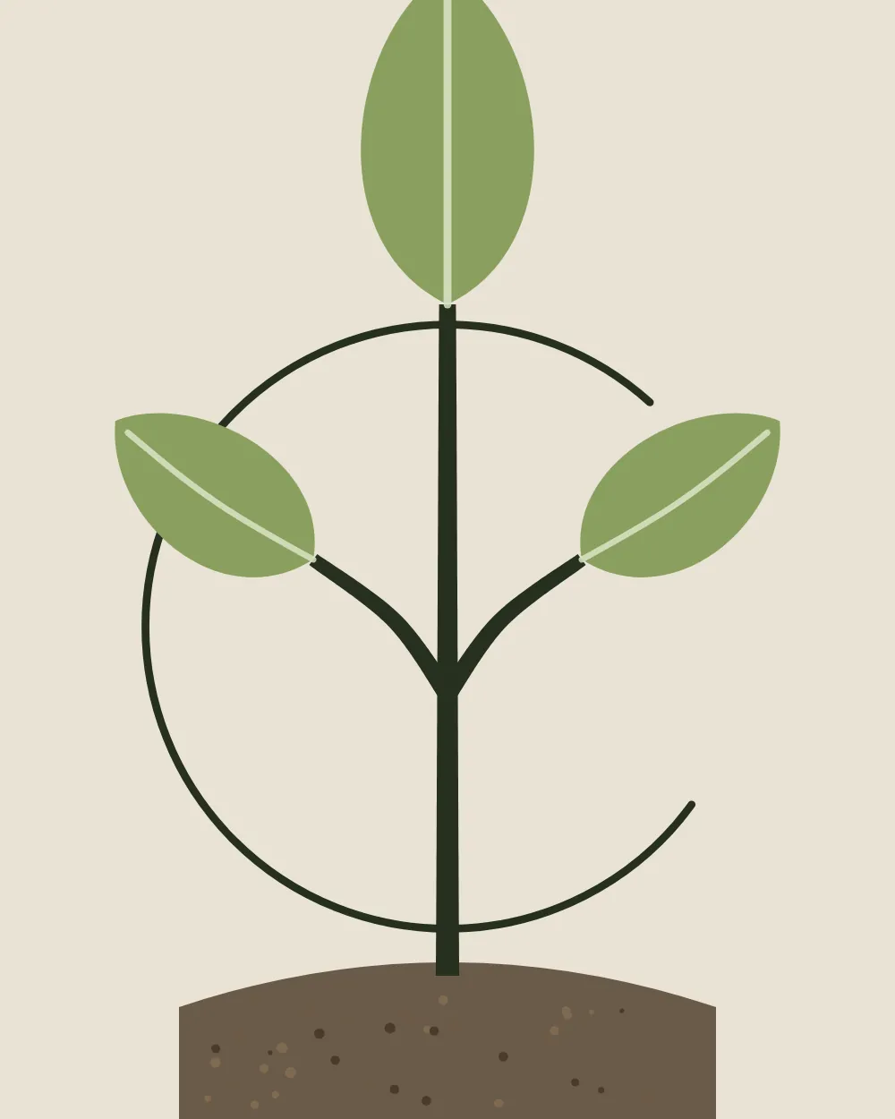 Ilustración de un brote con dos hojas