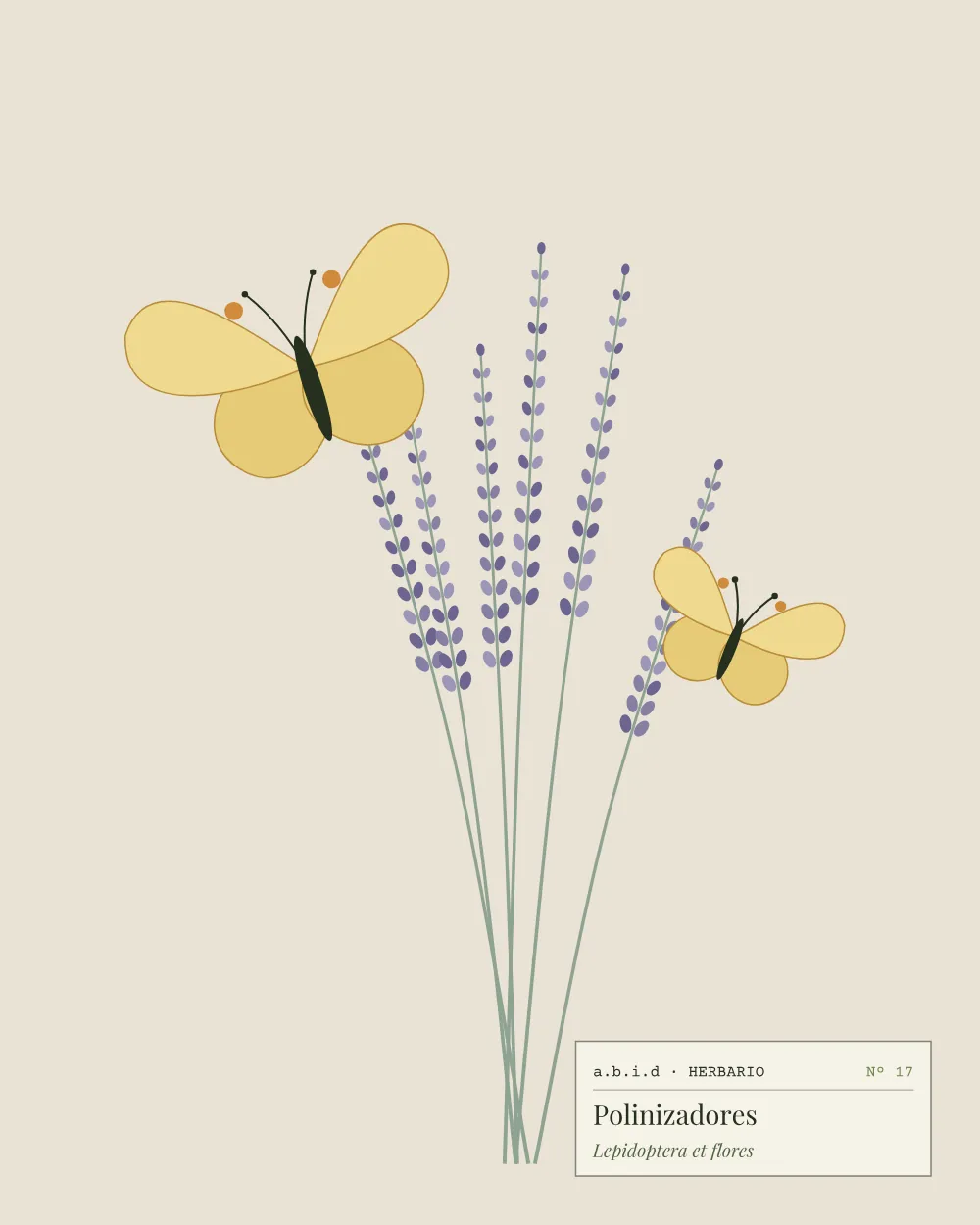 Ilustración de lavanda con una mariposa